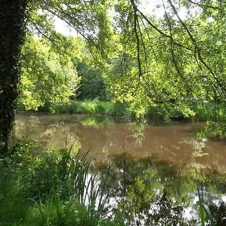 Mobil-home Pour 4 Pers Avec Terrasse - Api-1-52-739 * Avrillé