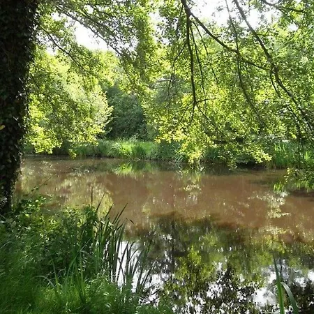 Mobil-home Pour 4 Pers Avec Terrasse - Api-1-52-739 *