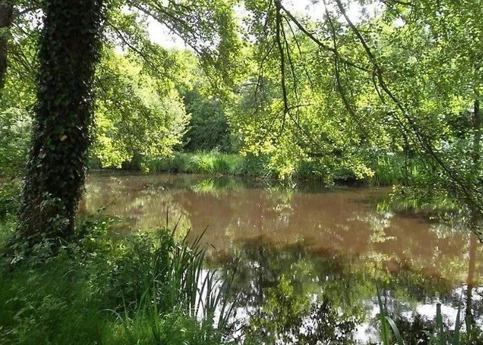 Mobil-home Pour 4 Pers Avec Terrasse - Api-1-52-739 *